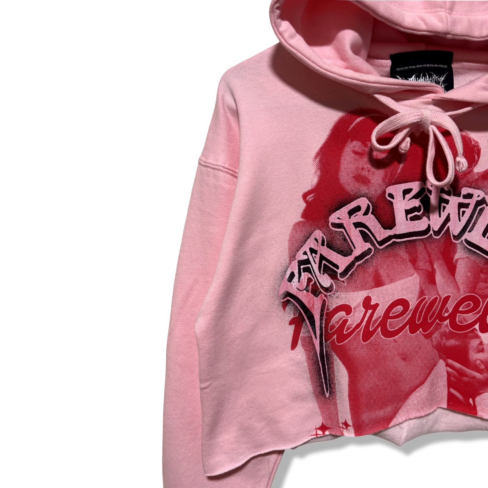TUNNEL OF LOVE CROPPED HOODIE (Only 2 Per Size Made)